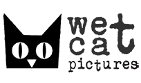 WET CAT PICTURES